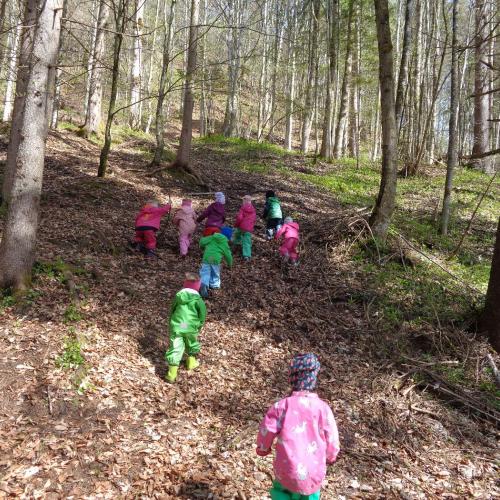Kinder im Wald