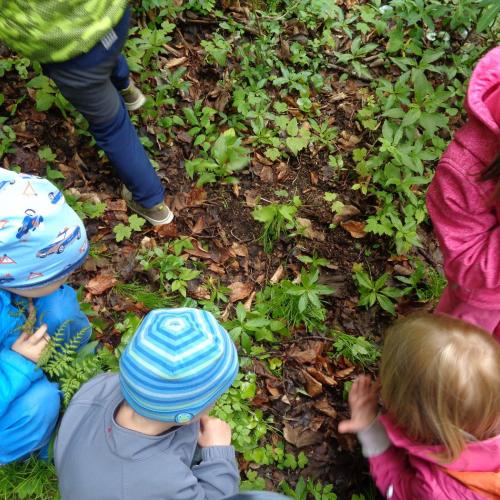 Kinder schauen neugierig auf den Waldboden